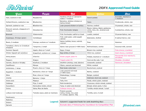 21 Day Fix and 21 Day Fix Extreme Resources - Fit Revival